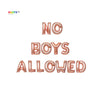 No Boys Allowed Banner