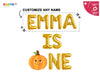 Fall Theme Custom 1st Baby birthday Banner With Pumpkin balloon