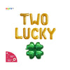 St Patricks Day 2nd Birthday Two Lucky Banner